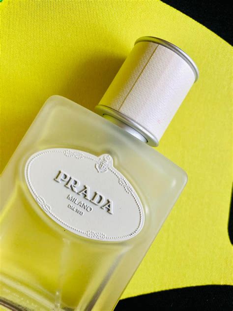 iris prada perfume 2007